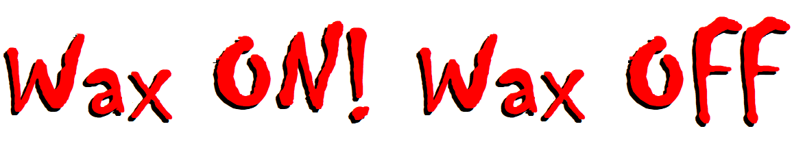Wax ON Wax OFF logo