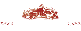 Strøm-Larsen logo