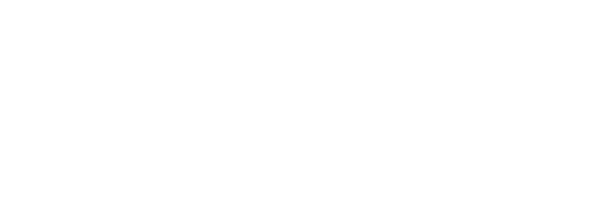 Skau logo