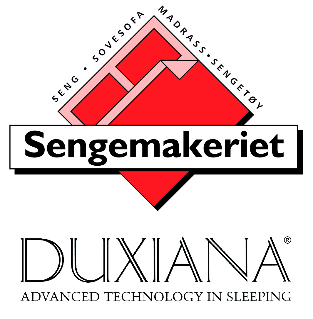 seng logo
