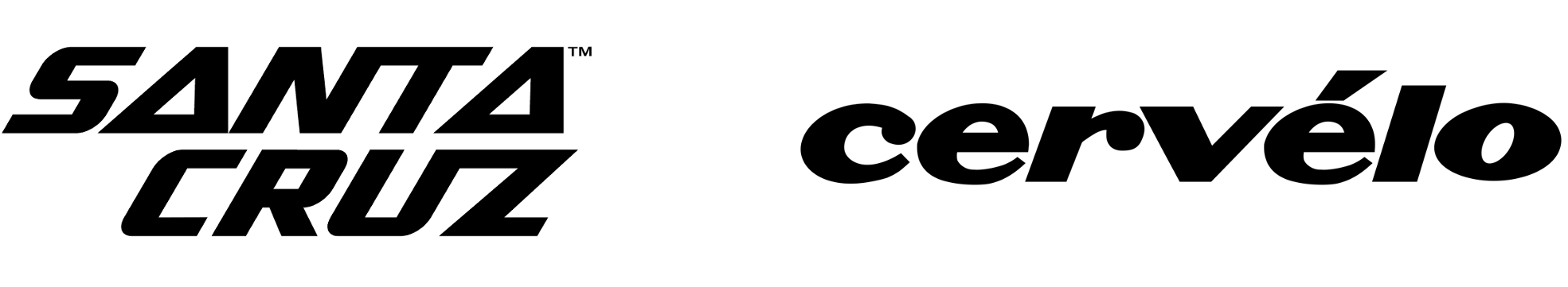SANTA CRUZ SYKLER logo