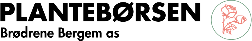 Plantebørsen Brødr. Bergem as | Lier logo