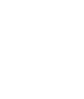 NorArm Tactical logo
