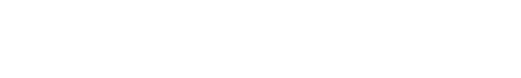 Detailshop logo