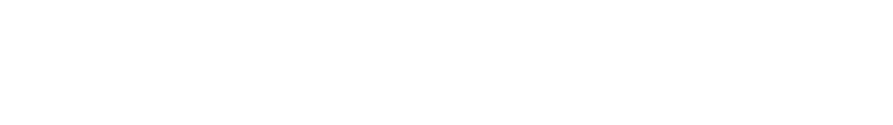 Bilpleiekongen logo
